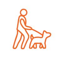 Waling / Jogging Track